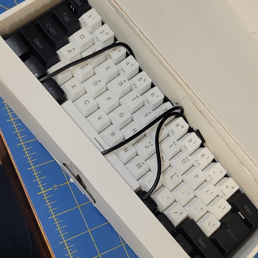 Snpurdiri Black & White Mechanical Keyboard Wired
